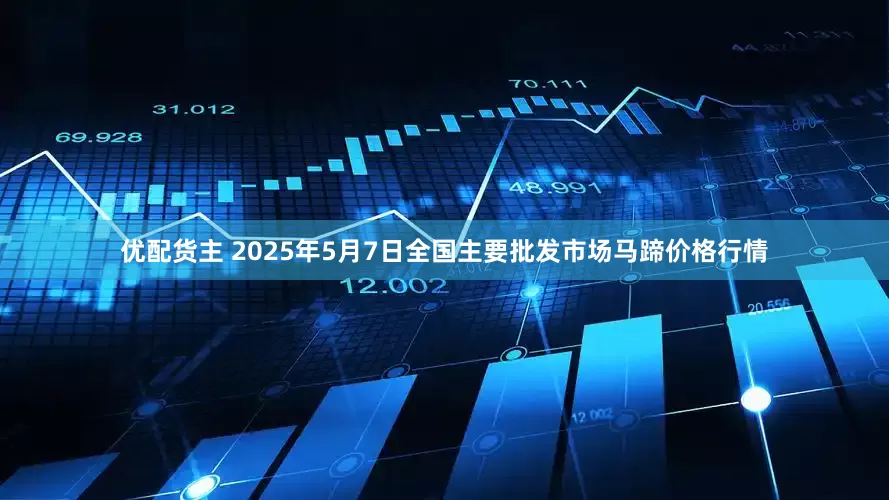 优配货主 2025年5月7日全国主要批发市场马蹄价格行情