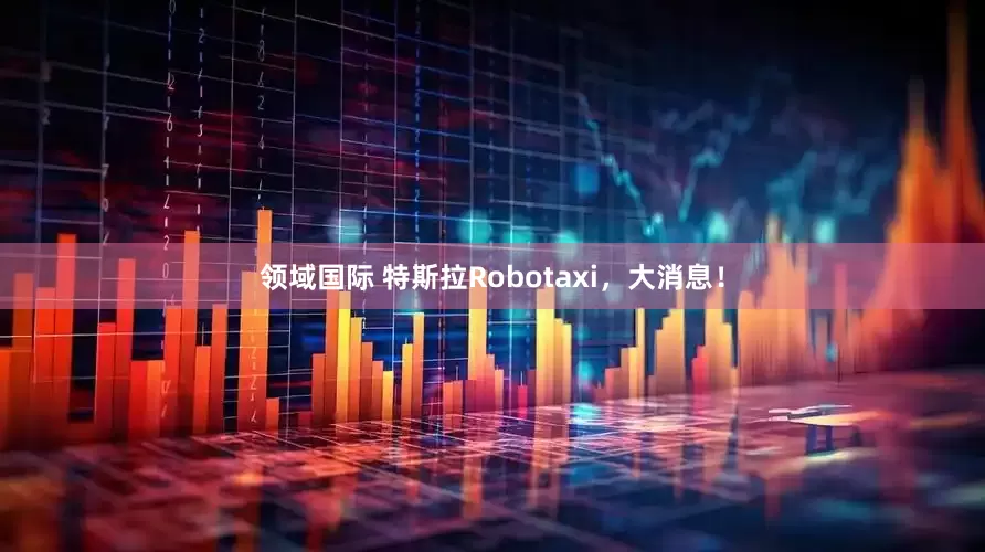 领域国际 特斯拉Robotaxi，大消息！